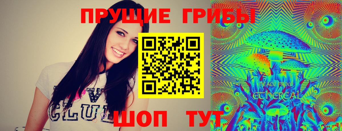 Мелеуз  Галлюциногенные грибы мицелий  Вход с VPN  Галлюциногенные грибы Psilocybine cubensis 